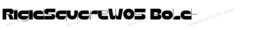 RigidSquareW05 Bold字体转换